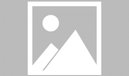 樱花动漫风车,动漫风车浪漫之旅